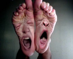 Pies